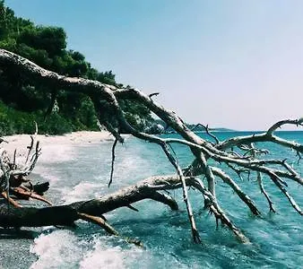 Exclusive Sea View Beach House Lejlighed Panormos (Skopelos)